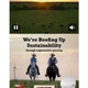 A beef industry ad I saw after registering for the panel.